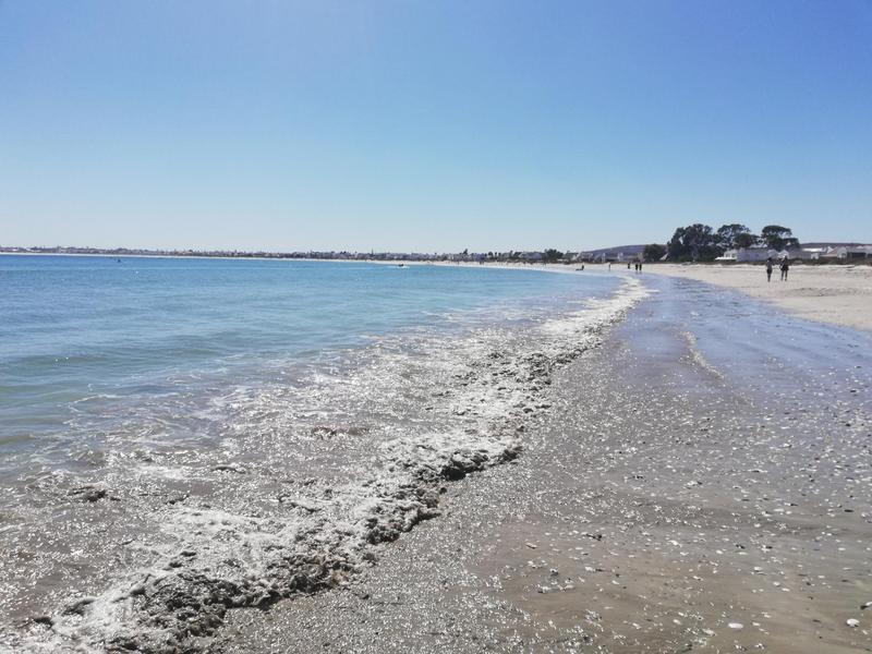 0 Bedroom Property for Sale in Shelley Point Western Cape